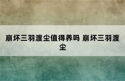 崩坏三羽渡尘值得养吗 崩坏三羽渡尘